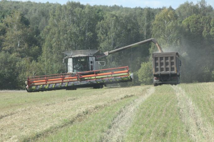 Российское зерно остается одним из самых привлекательных на глобальном рынке 