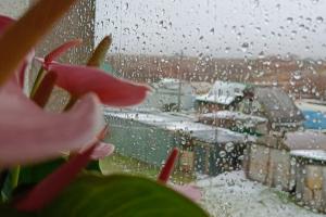 17 апреля в Туле дождливо и +10 градусов.