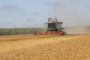 В Тульской области собрали уже свыше 2,3 млн тонн зерна.