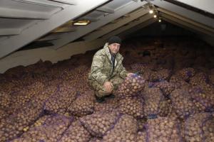 В Минсельхозе РФ отметили Тульскую область, где удался урожай картофеля.